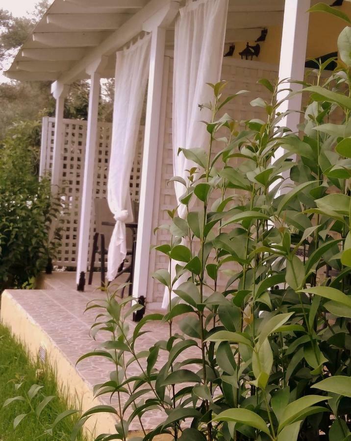 Villa Ladina Лигия Экстерьер фото